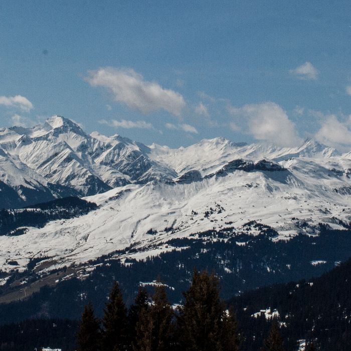 FEWOlution Ferienwohnung Runca 750 Flims Waldhaus