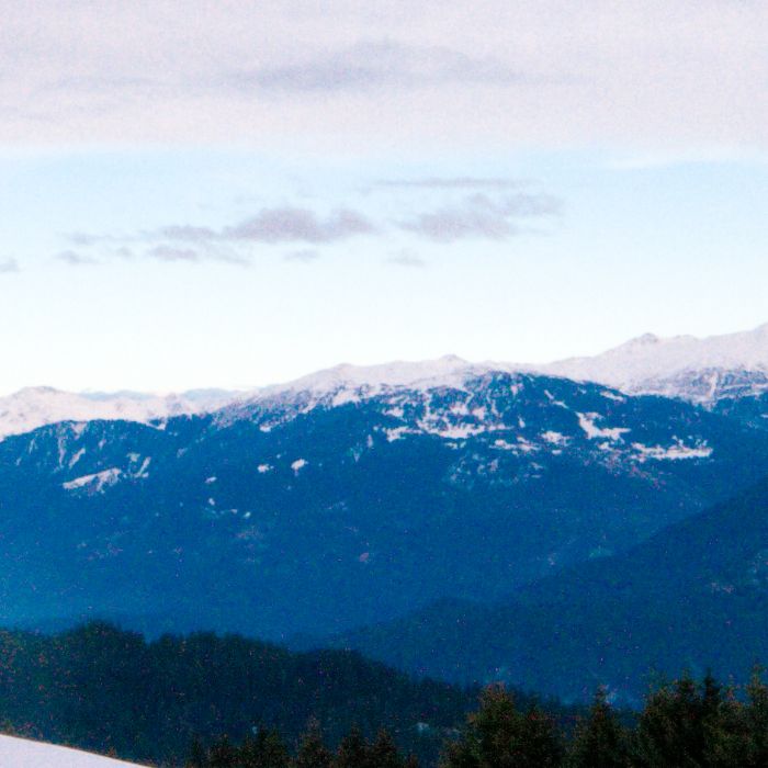 FEWOlution Ferienwohnung Runca 750 Flims Waldhaus