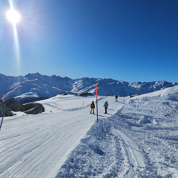 Ferienwohnung Erholsame Ferien in Disentis Disentis FEWOlution