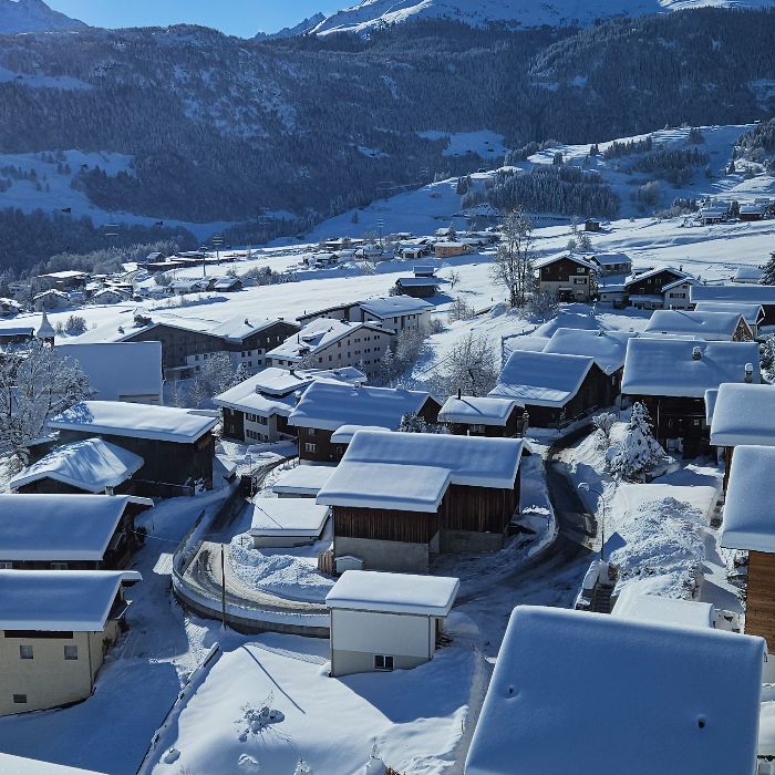 Ferienwohnung Erholsame Ferien in Disentis Disentis FEWOlution