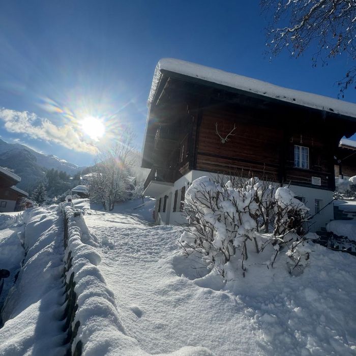FEWOlution Ferienwohnung Chalet Diana  Lenk