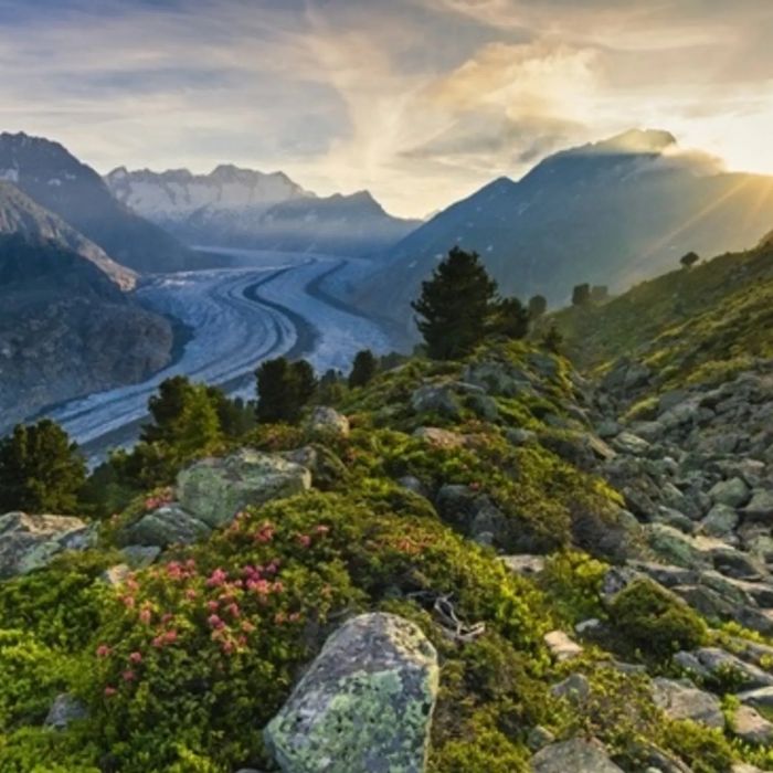 Ferienwohnung BeeValais 1 Riederalp FEWOlution