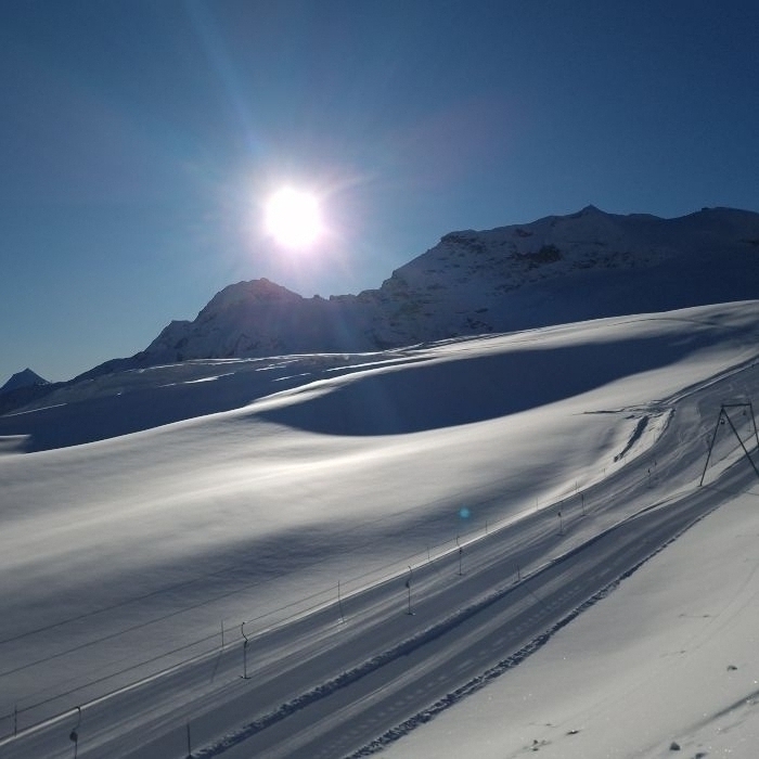 Ferienwohnung Schönerwohnen in Saas-Fee I Saas Fee FEWOlution