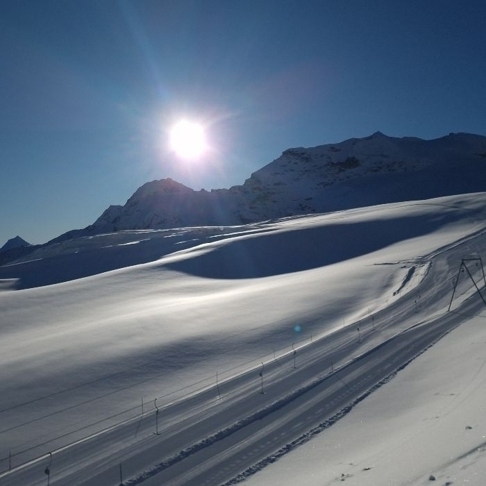 Ferienwohnung Schönerwohnen in Saas-Fee I Saas-Fee FEWOlution