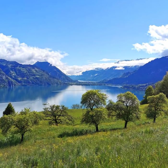 Ferienwohnung Traumblick Krattigen Krattigen FEWOlution