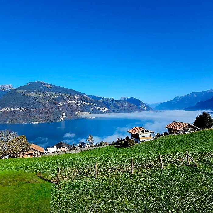 Ferienwohnung Traumblick Krattigen Krattigen FEWOlution