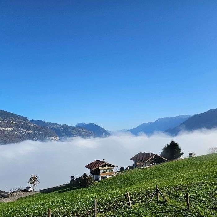 Ferienwohnung Traumblick Krattigen Krattigen FEWOlution