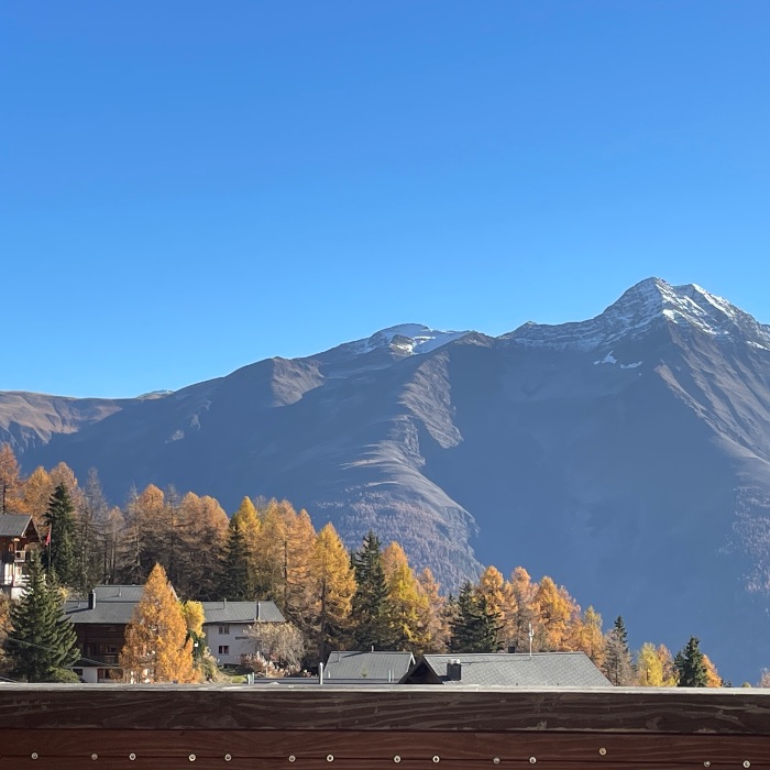 Ferienwohnung Chalet La Montanara -Schönbiel Bettmeralp FEWOlution