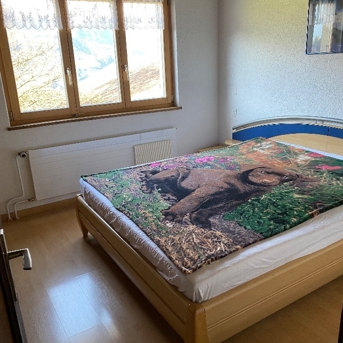Ferienwohnung Feriehus Paradiesli Hasliberg Hasliberg FEWOlution