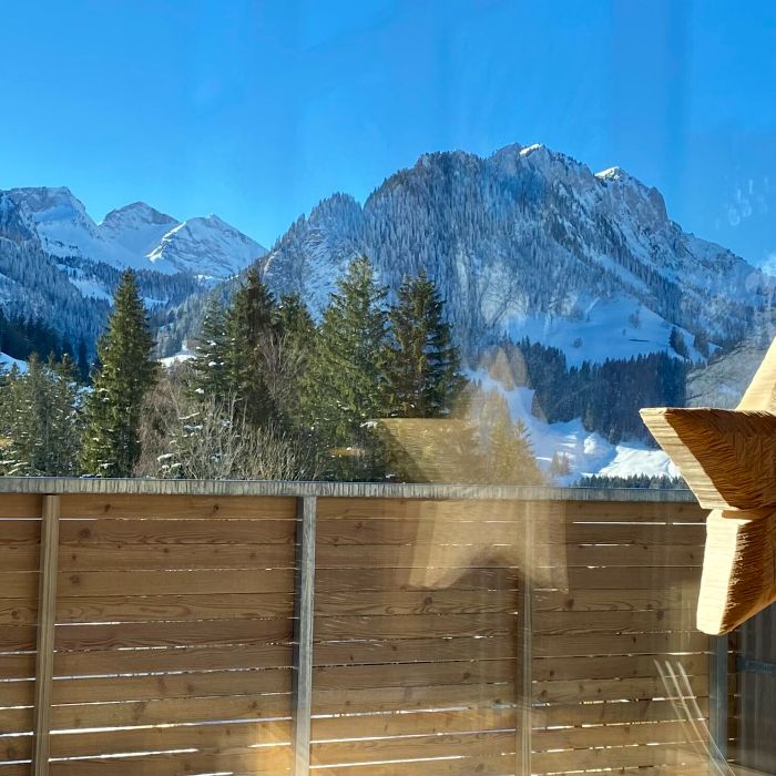 Ferienwohnung Horizon 4, Brüggera 18 Schwarzsee FEWOlution