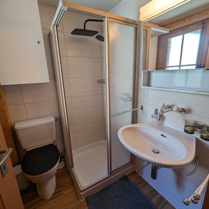 Ferienwohnung Chalet Mimöseli, Mösli 36 Schwarzsee FEWOlution