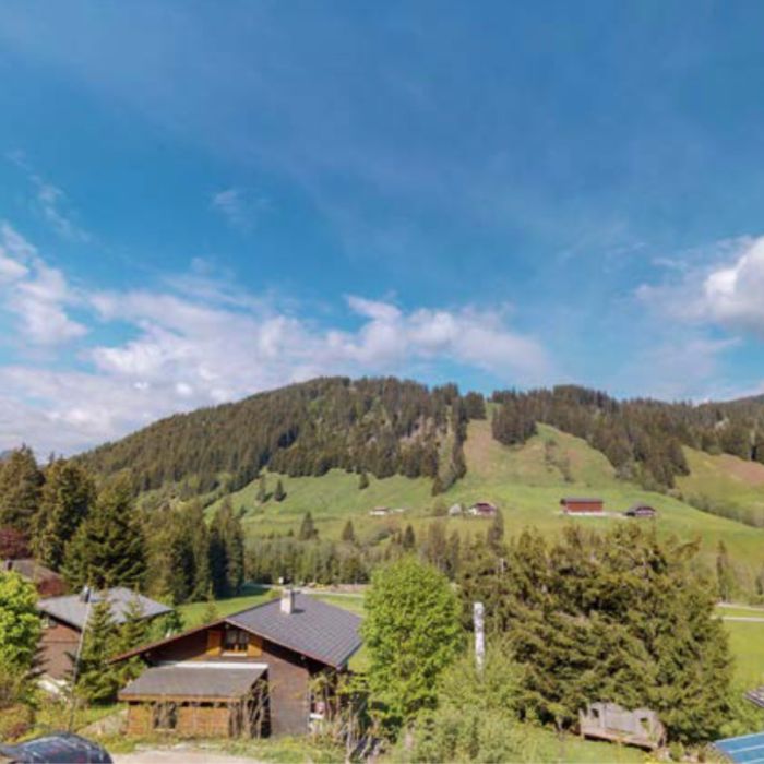 Ferienwohnung Chalet Mimöseli, Mösli 36 Schwarzsee FEWOlution