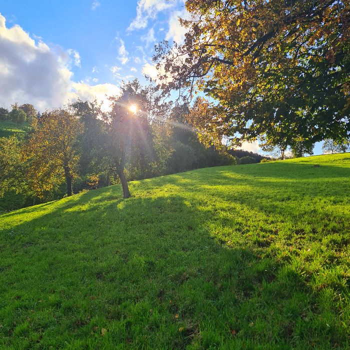Ferienwohnung Open Barn-Nature Höllhof Adven Kriens FEWOlution