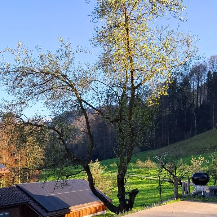 Ferienwohnung Open Barn-Nature Höllhof Adven Kriens FEWOlution