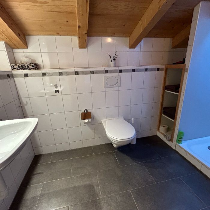 Ferienwohnung Alpenchalet Weidhaus - Dach Gstaad FEWOlution