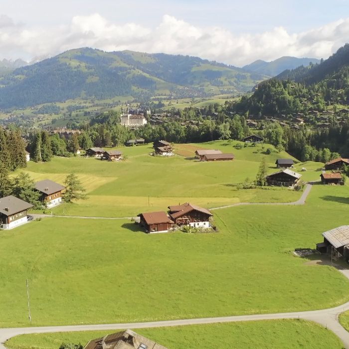 Ferienwohnung Alpenchalet Weidhaus - Dach Gstaad FEWOlution