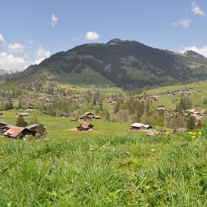 FEWOlution Ferienwohnung Alpenchalet Weidhaus - Dach Gstaad