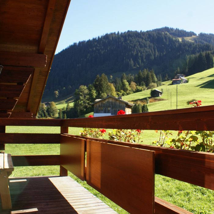 FEWOlution Ferienwohnung Alpenchalet Weidhaus - Dach Gstaad