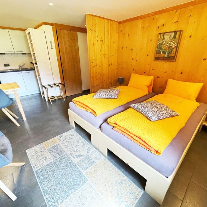 FEWOlution Ferienwohnung Alpenchalet Weidhaus - Studio Gstaad