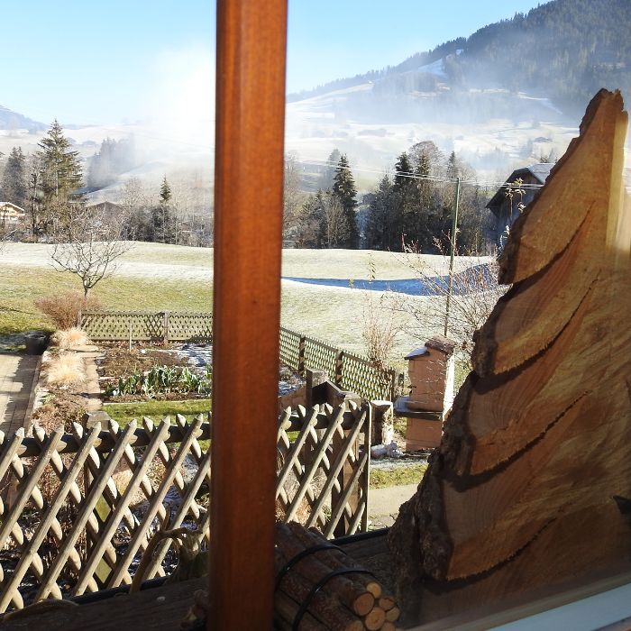 Ferienwohnung Alpenchalet Weidhaus Zimmer 4 Gstaad FEWOlution