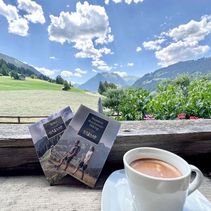 Ferienwohnung Alpenchalet Haldeli, 2. Stock Gstaad FEWOlution