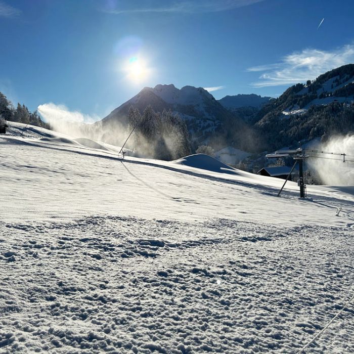 FEWOlution Ferienwohnung Alpenchalet Haldeli, 2. Stock Gstaad