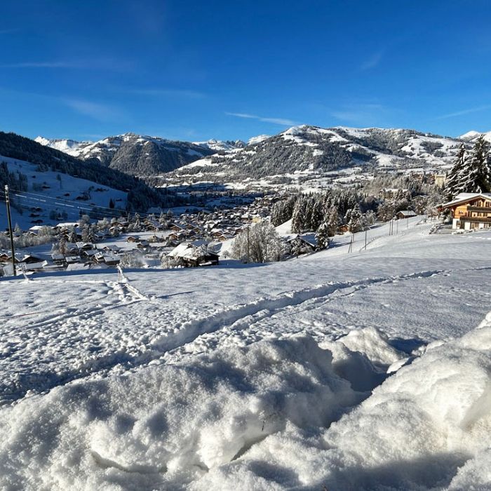 FEWOlution Ferienwohnung Alpenchalet Haldeli, 2. Stock Gstaad