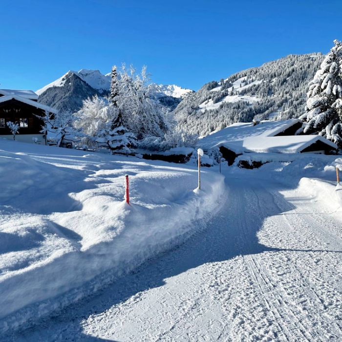 FEWOlution Ferienwohnung Alpenchalet Haldeli, 2. Stock Gstaad