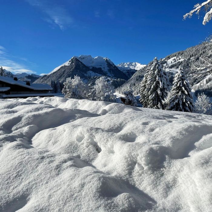 FEWOlution Ferienwohnung Alpenchalet Haldeli, 2. Stock Gstaad