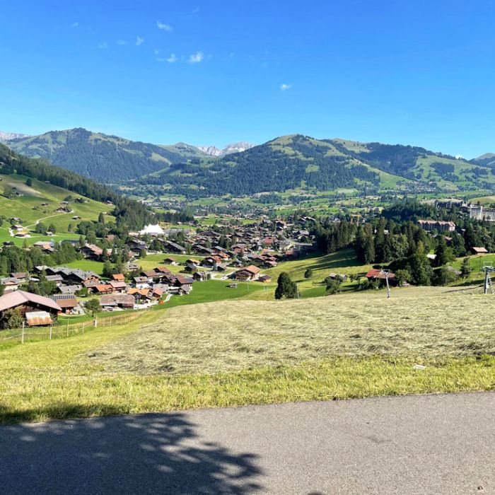 FEWOlution Ferienwohnung Alpenchalet Haldeli, 2. Stock Gstaad