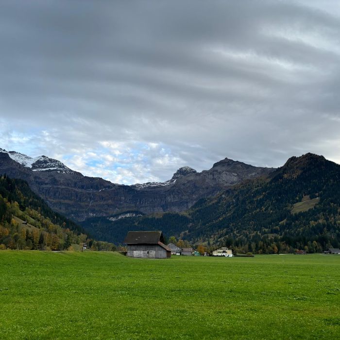Ferienwohnung Burgbühler Guesthouse Lenk FEWOlution