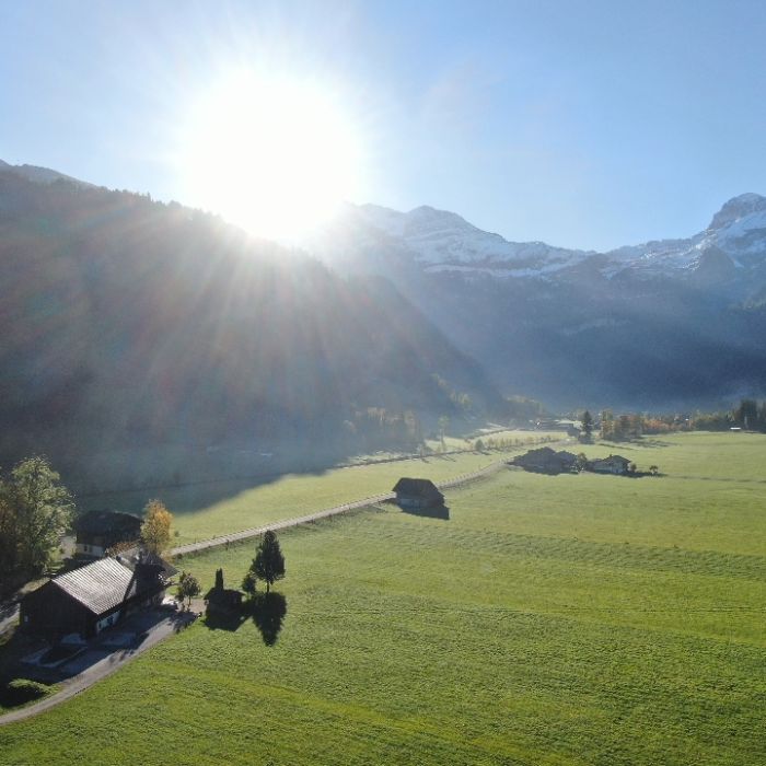 FEWOlution Ferienwohnung Burgbühler Guesthouse Lenk