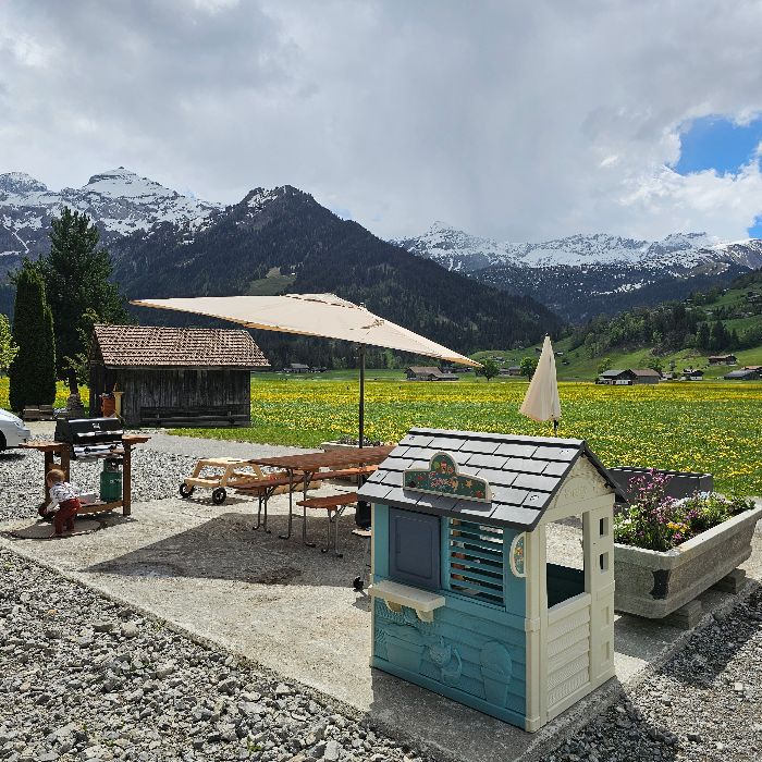 FEWOlution Ferienwohnung Burgbühler Guesthouse Lenk