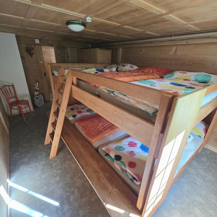 FEWOlution Ferienwohnung Burgbühler Guesthouse Lenk