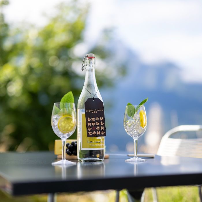 Ferienwohnung Chasa Arquint  Abitaziun Emil Sent FEWOlution