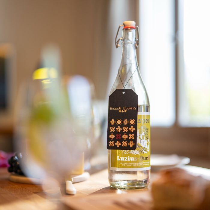 Ferienwohnung Chasa Arquint  Abitaziun Emil Sent FEWOlution