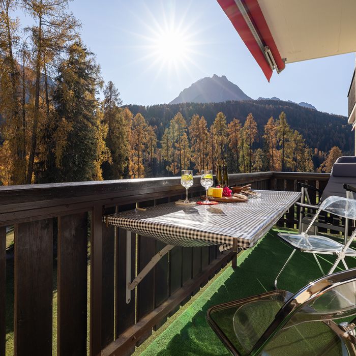 Ferienwohnung Brentschpark 73 - ruhig & hell Scuol FEWOlution