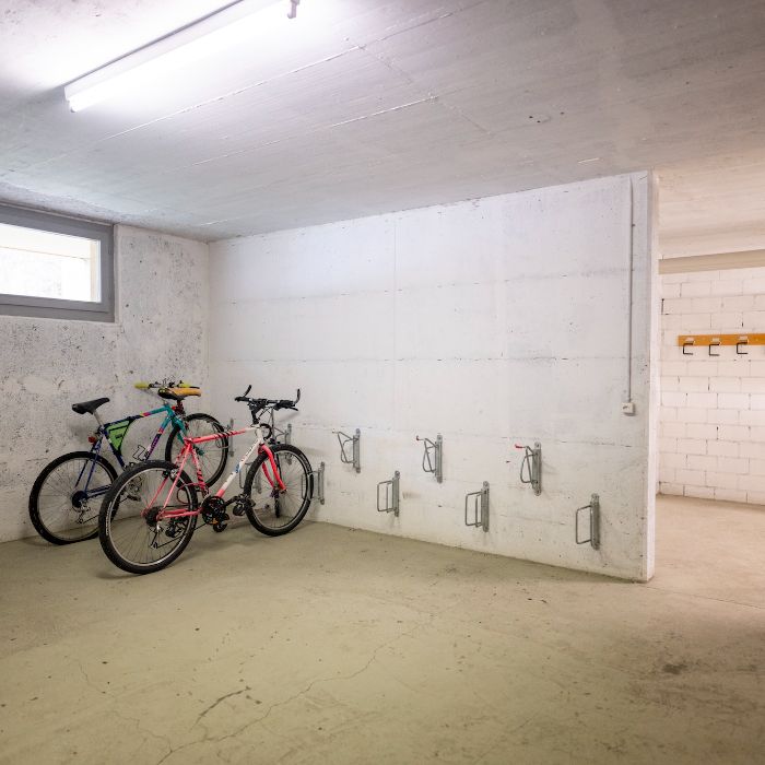 Ferienwohnung Chasa Serras - Abderhalden Scuol FEWOlution