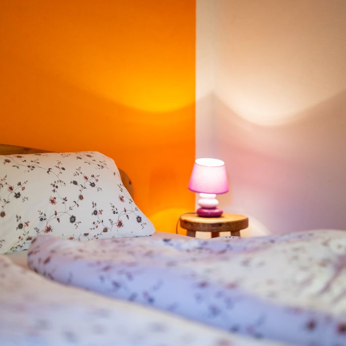 Ferienwohnung Chasa Patgific Ramosch Ramosch FEWOlution