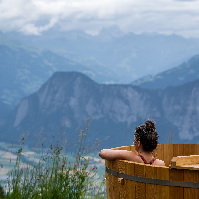 Ferienwohnung Eco Alpine Chalet mit HotPot Untervaz FEWOlution