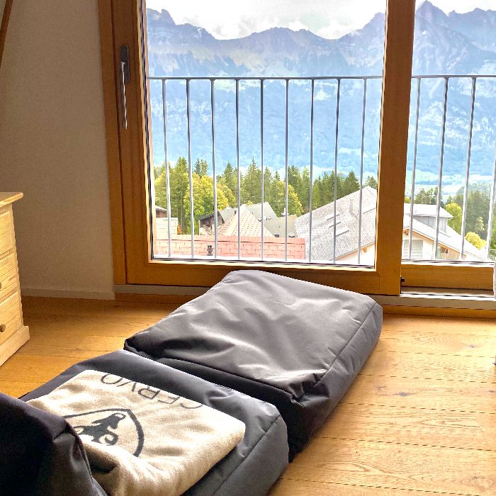 Ferienwohnung Petit Tannenboden CharmingStay Flumserberg FEWOlution