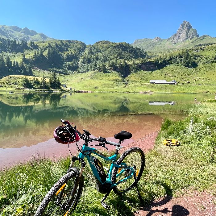 Ferienwohnung Haus Heimetli - CharmingStay Flumserberg FEWOlution