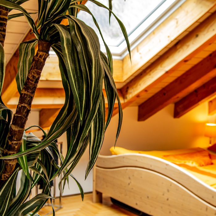 Ferienwohnung Onkel Toms Hütte Glarus FEWOlution