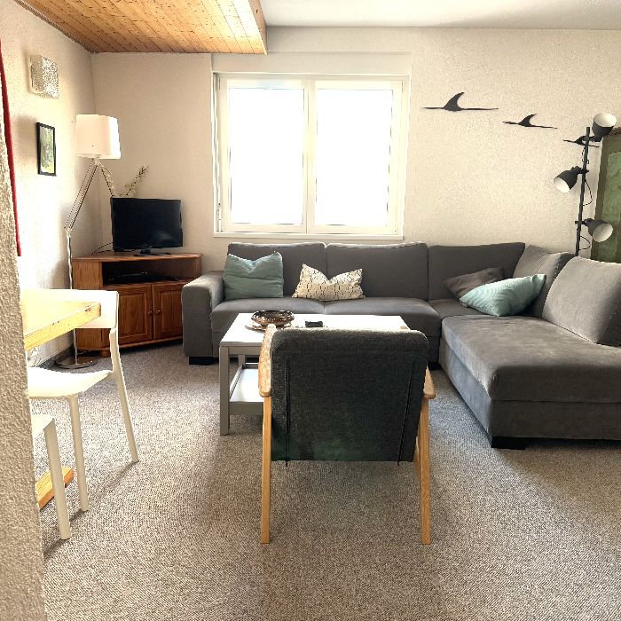 Ferienwohnung Haus Wogesa Ruth   Monika Flums FEWOlution