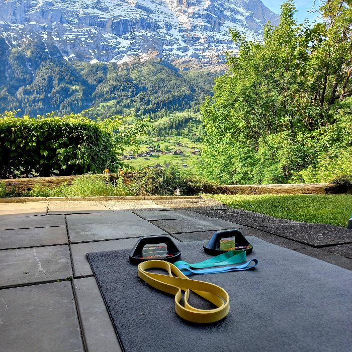 Ferienwohnung Chalet Rotheneggli Grindelwald FEWOlution