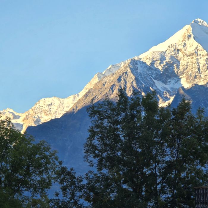 Ferienwohnung Chalet Holiday-Wohnung  Glück  Grächen FEWOlution