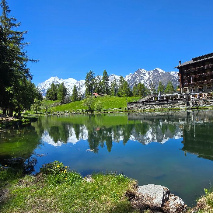 Ferienwohnung Chalet Holiday-Wohnung  Glück  Grächen FEWOlution