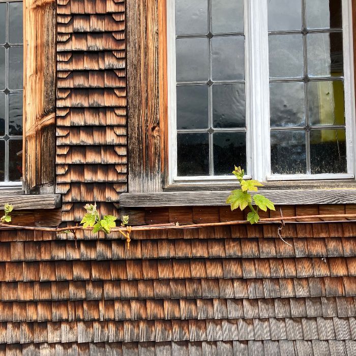 Ferienwohnung FeWo Historisches Dorfhaus Ebnat-Kappel FEWOlution