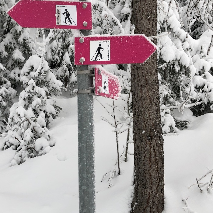 Ferienwohnung Bergquell A Blatten - Belalp FEWOlution