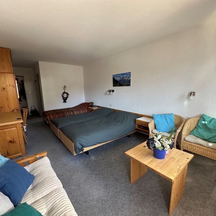 FEWOlution Ferienwohnung Swiss Paradise St Niklaus
